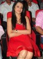 Trisha Hot Pics in Red Skirt