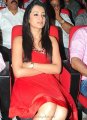 Trisha Hot Pics in Red Skirt