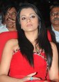 Trisha Hot Pics in Red Skirt