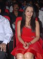 Trisha Hot Pics in Red Skirt