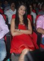 Trisha Hot Pics in Red Skirt