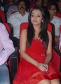 Trisha Hot Pics in Red Skirt