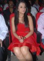 Trisha Hot Pics in Red Skirt