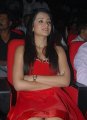 Trisha Hot Pics in Red Skirt