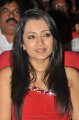 Trisha Hot Pics in Red Skirt