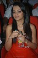 Trisha Hot Pics in Red Skirt