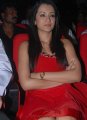 Trisha Hot Pics in Red Skirt