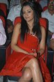 Trisha Hot Pics in Red Skirt