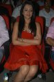 Trisha Hot Pics in Red Skirt