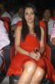 Trisha Hot Pics in Red Skirt