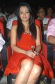 Trisha Hot Pics in Red Skirt