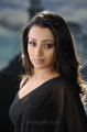 Trisha Hot Saree Images in Bodyguard Movie