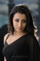 Actress Trisha in Saree in Bodyguard Movie