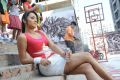 Dammu Actress Trisha Hot Wallpapers