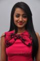 Tamil Actress Trisha in Light Pink Dress Pictures