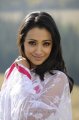 Trisha Krishnan in White Transparent Saree Hot Pics