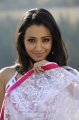 Trisha Krishnan in White Transparent Saree Hot Pics