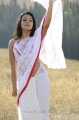 Trisha in White Transparent Saree Stills