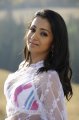 Trisha White Saree Hot Pictures