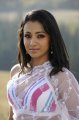 Trisha Krishnan in White Transparent Saree Hot Pics