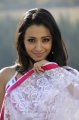 Trisha in White Transparent Saree Stills