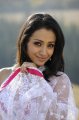 Trisha Krishnan in White Transparent Saree Hot Pics