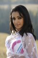 Trisha White Saree Hot Pictures