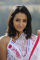 Trisha in White Transparent Saree Stills