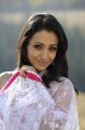 Trisha in White Transparent Saree Stills