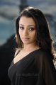Hot Trisha Krishnan in Saree Stills