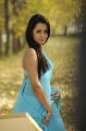 Trisha Krishnan Hot in Saree Pics