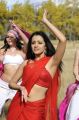Tamil Actress Trisha Krishnan Latest Hot Photo Gallery