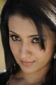 Tamil Actress Trisha Krishnan Hot Latest Photo Gallery