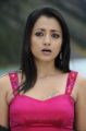 Tamil Actress Trisha Krishnan Hot Latest Photo Gallery