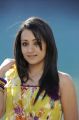 Tamil Actress Trisha Krishnan Latest Hot Photo Gallery