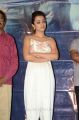 Actress Trisha New Pics @ Mohini Pre Release Event