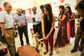 Trisha Krishnan launches New Bata Showroom Photos