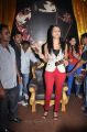 Actress Trisha Launches Magnum Ice Cream EA Chennai Photos
