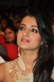 Telugu Actress Trisha Photos @ Lion Audio Release