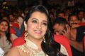 Actress Trisha Photos @ Lion Audio Launch