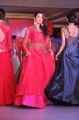 Pranitha Subhash @ Trisha Love for Handloom Fashion Show at Taj Krishna, Hyderabad