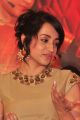 Actress Trisha Images at Nayaki Press Meet