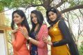 Actress Poonam Bajwa, Trisha & Oviya Helen Movie Photos