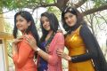 Actress Poonam Bajwa, Trisha & Oviya New Movie Photos