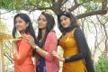 Actress Poonam Bajwa, Trisha Krishnan & Oviya Helen Movie Photos