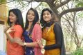 Actress Poonam Bajwa, Trisha & Oviya New Movie Photos