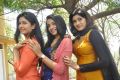 Actress Poonam Bajwa, Trisha Krishnan & Oviya Helen Movie Photos