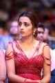 Actress Trisha Photos @ SIIMA Awards 2019 Day 2