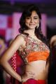 Shilpi Sharma @ Trisha Pre Launch Fashion Show Stills