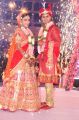 Trupthi and Ankit Wedding Reception Photos